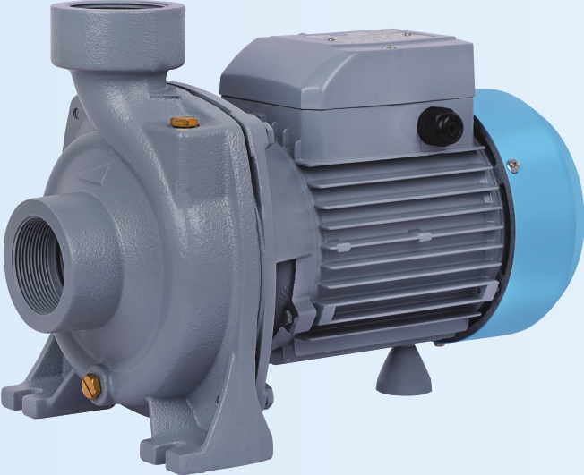 Star USA Monoblock Pump