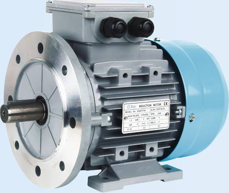 Star USA TEFC Induction Motor