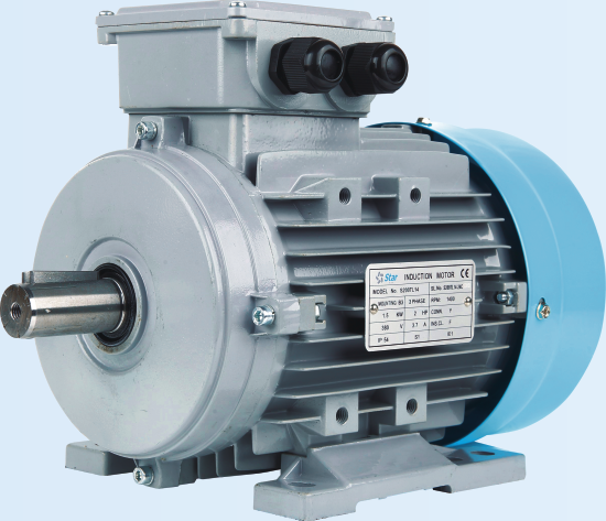 Star USA TEFC Induction Motor — additional view